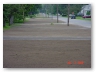 Lawn Restoration Boulevard Street Sewer Replacement Town of Salina.