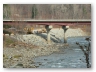 Stone Filling Complete along Old State Road 17.